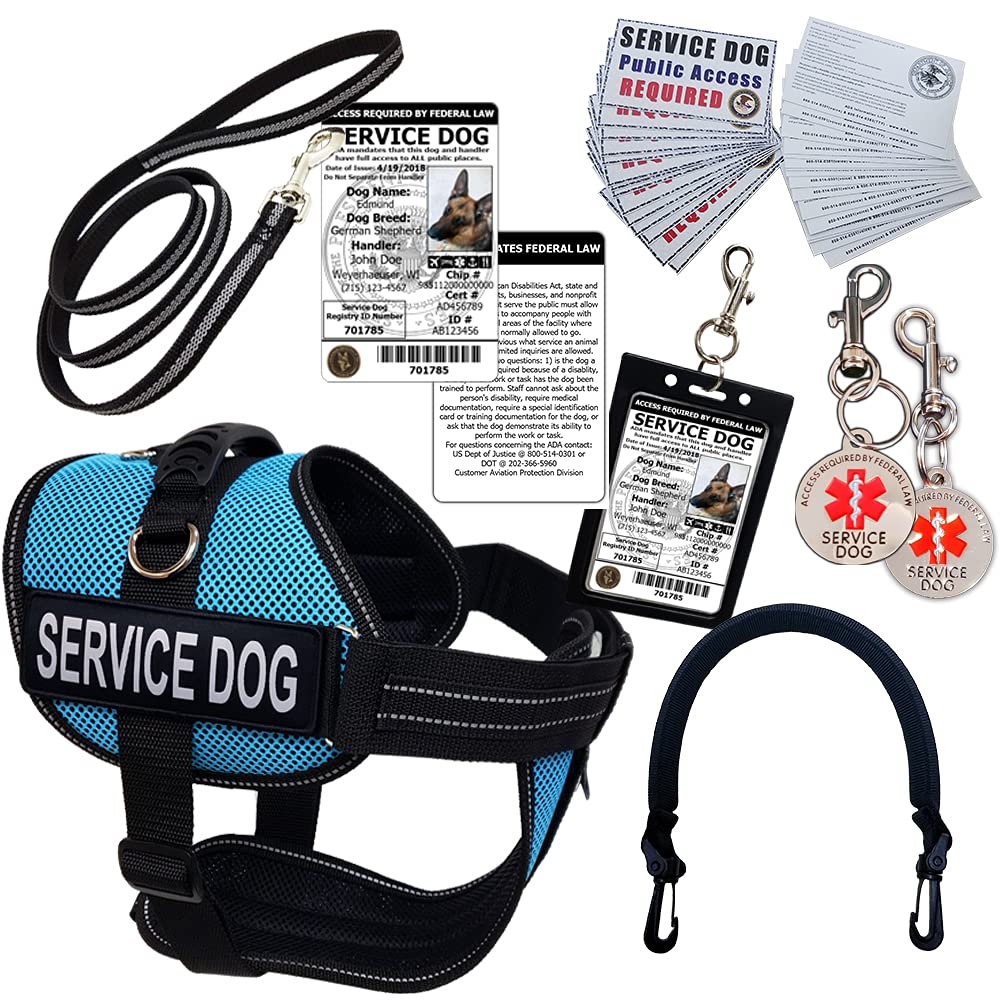 Do You Need A Vest For A Service Dog
