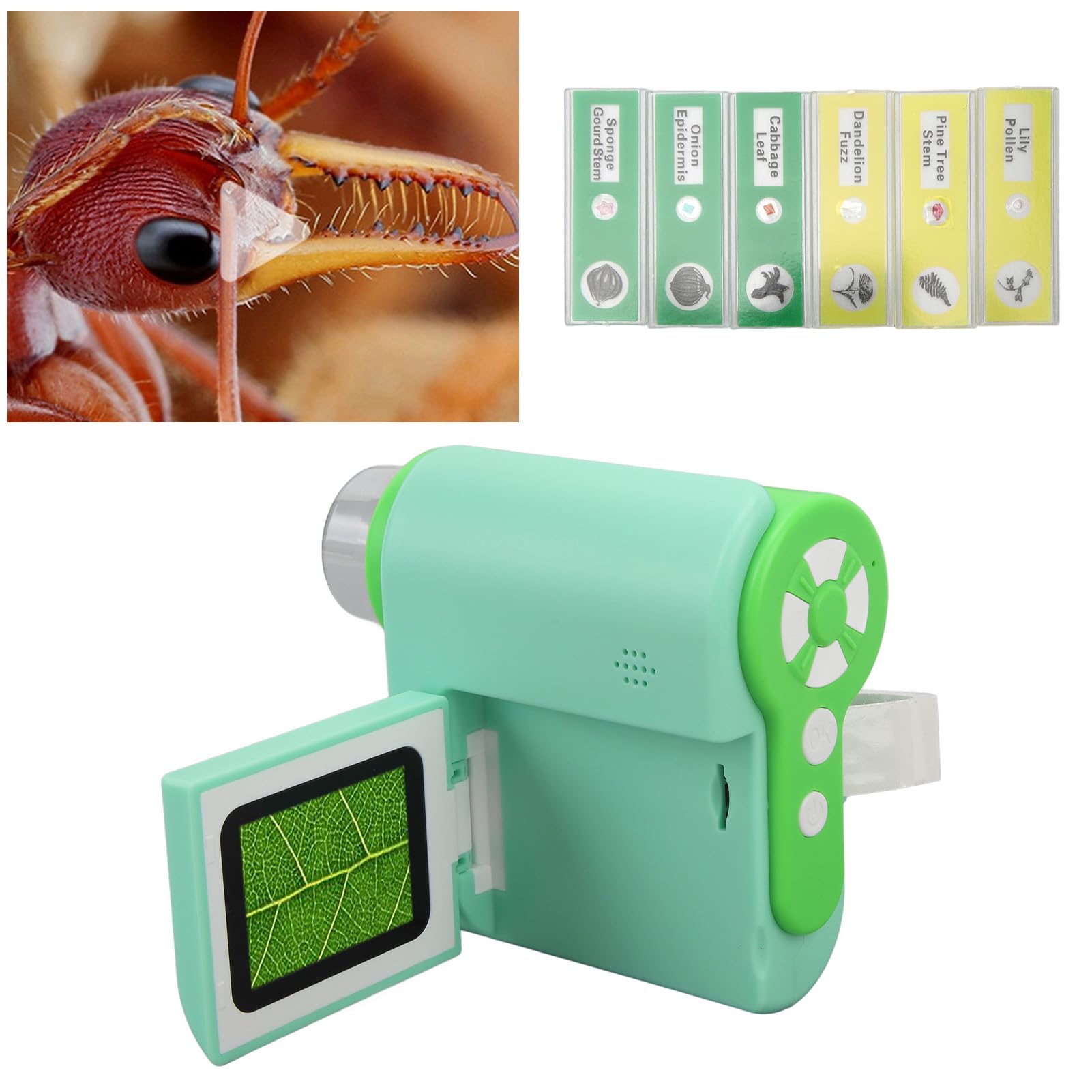 Microscopio Portatile, Microscopio Fotocamera con Ingrandimento 1000X, Porta USB, Video Fotografico 1080P con Portaoggetti per Compleanno (Verde)