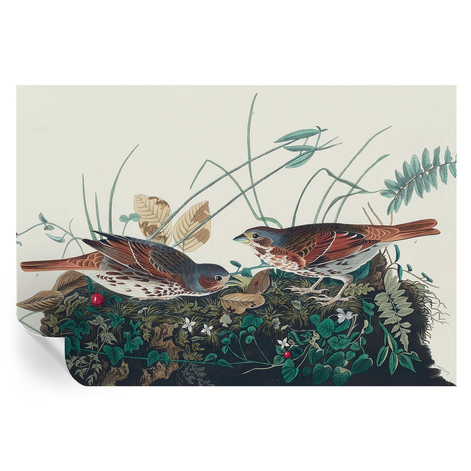 Cubiertas de pared para tapar imperfecciones con murales El encanto de la naturaleza