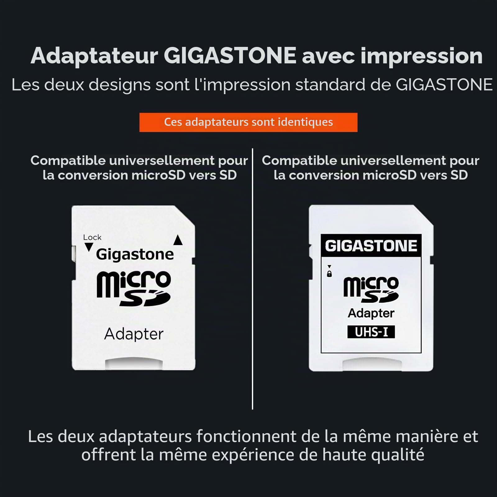 [5 Ans Récupération de données Gratuite] GIGASTONE Carte Mémoire 256 Go, 4K Camera Pro, Vitesse jusqu'à 100 Mo/s, pour GoPro, DJI, Drone, 4K Video A2 V30 U3 MicroSDXC avec Adaptateur
