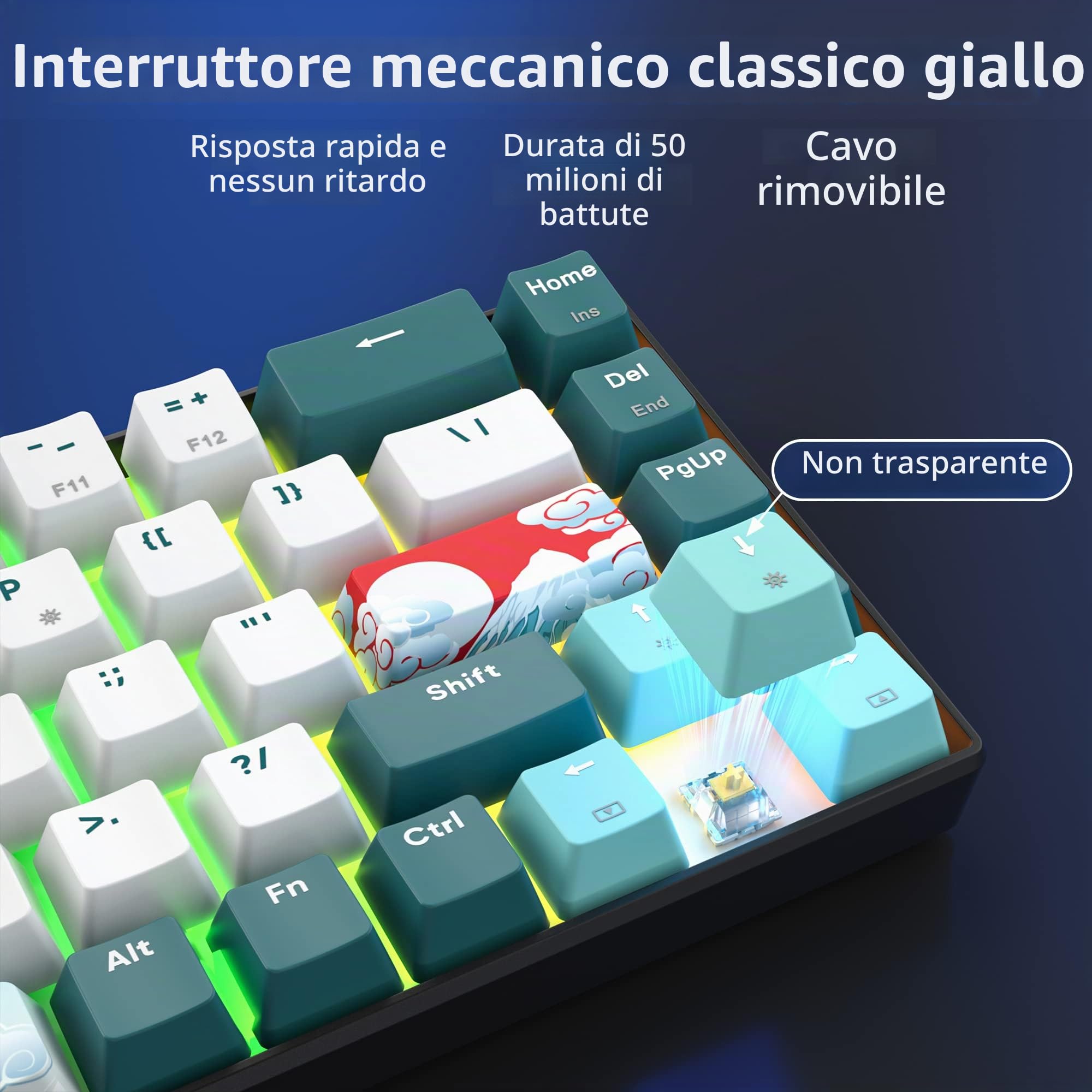 SOLIDEE tastiera meccanica RGB wireless 65%,tastiera Bluetooth 5.0/2.4Ghz/cablata a 3 modalità,68 tasti retroilluminazione RGB,mechanical keyboard hot swappable con Gateron Yellow Switchs(68 Forest)