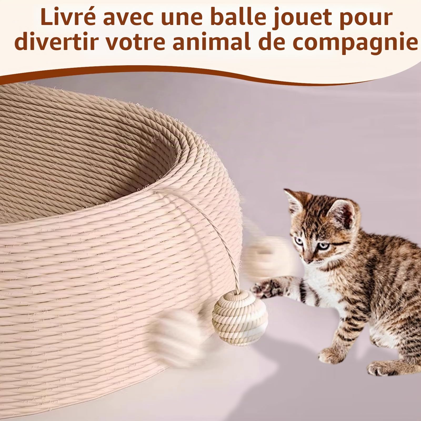 Griffoir en sisal 2 en 1 pour chat, griffoir en sisal, tapis à griffer pour griffer les griffes et se reposer 60 x 40 x 12 cm pour que tous les chats puissent jouer et se détendre (version générale