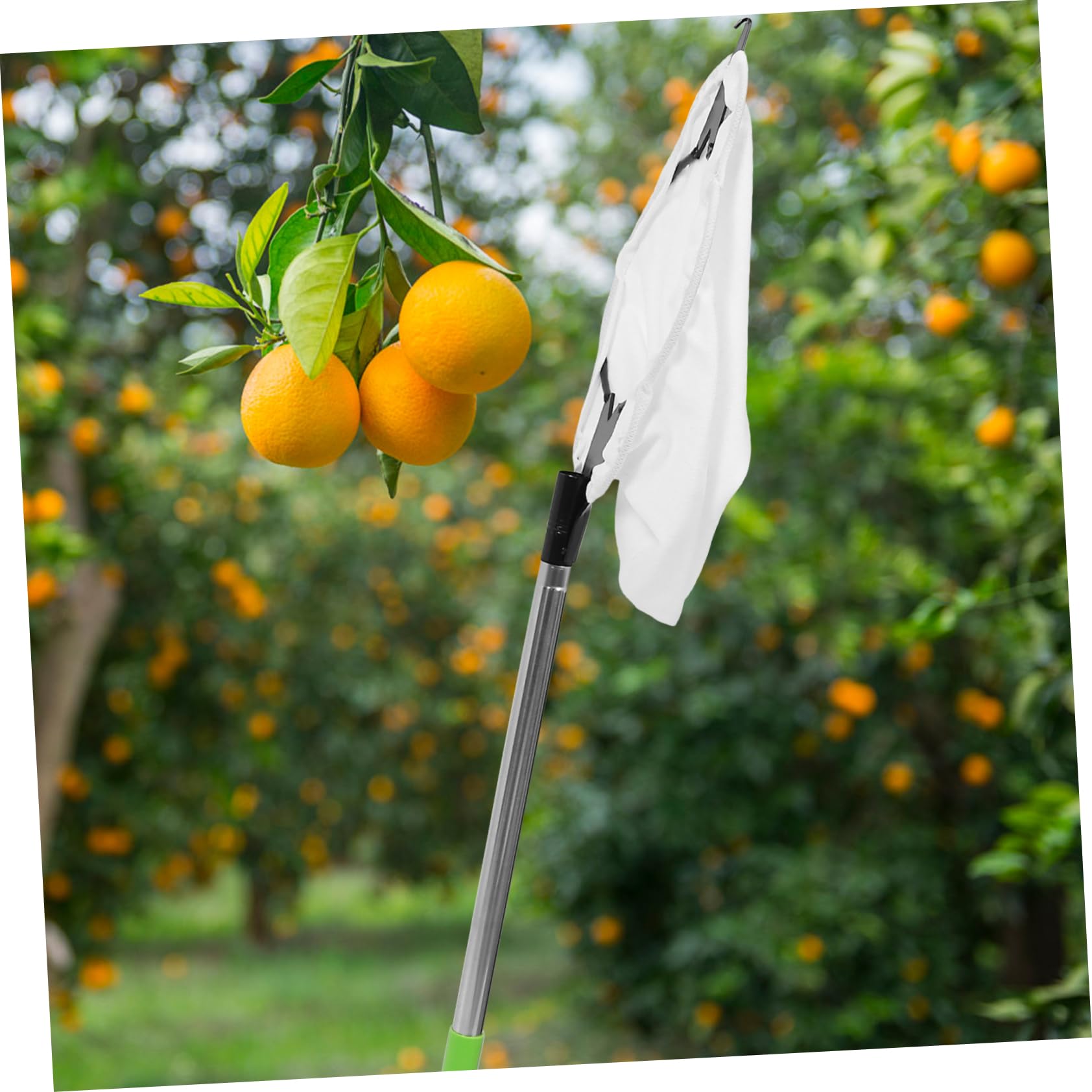 POPETPOP 1set Strumento Di Raccolta Frutta Con Manico Estensibile e Cesto Per Mela e Attrezzo Per Raccolta Frutta Con Testa Artiglio Per Uso Facile e Comodo