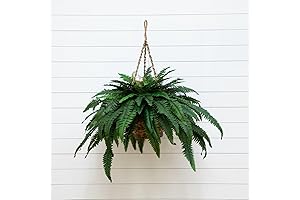 Artificial Boston Ferns (Set of 2)