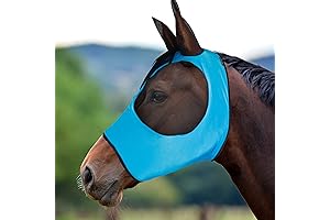 Horse Lycra Fly Mask: Ultimate Equine Protection and Comfort