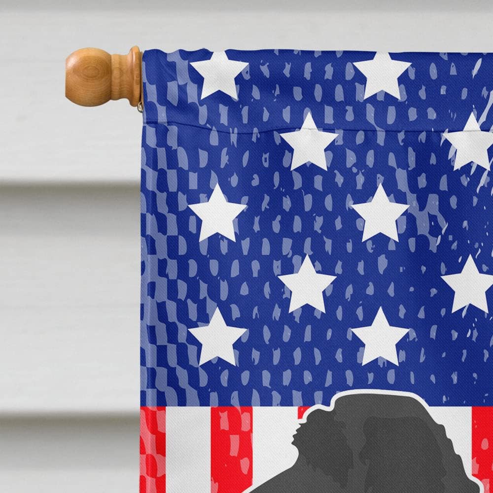 Caroline's Treasures BB8418CHF Labradoodle American House Flag Large Porch Sleeve Pole Decorative Outside Yard Banner Artwork Wall Hanging, Polyester, House Size, Multicolor