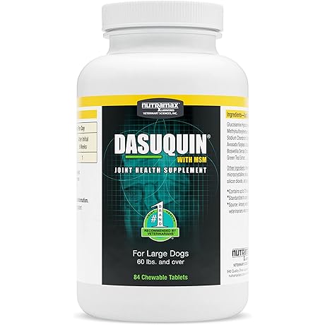 Nutramax Dasuquin with MSM - Joint Health Powerhouse for Large Dogs