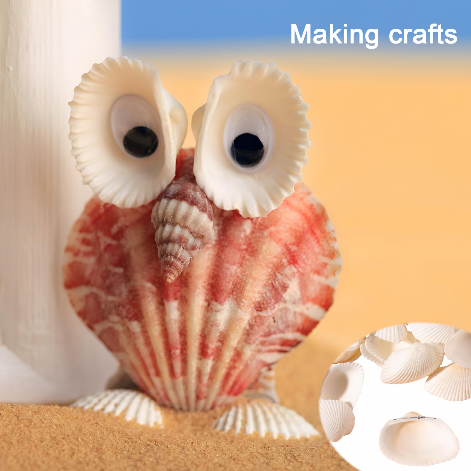 Conchiglie Naturali Bianche 500g - Decorazioni Artigianali Per Fai Da Te E Progetti Creativi - Foto 10