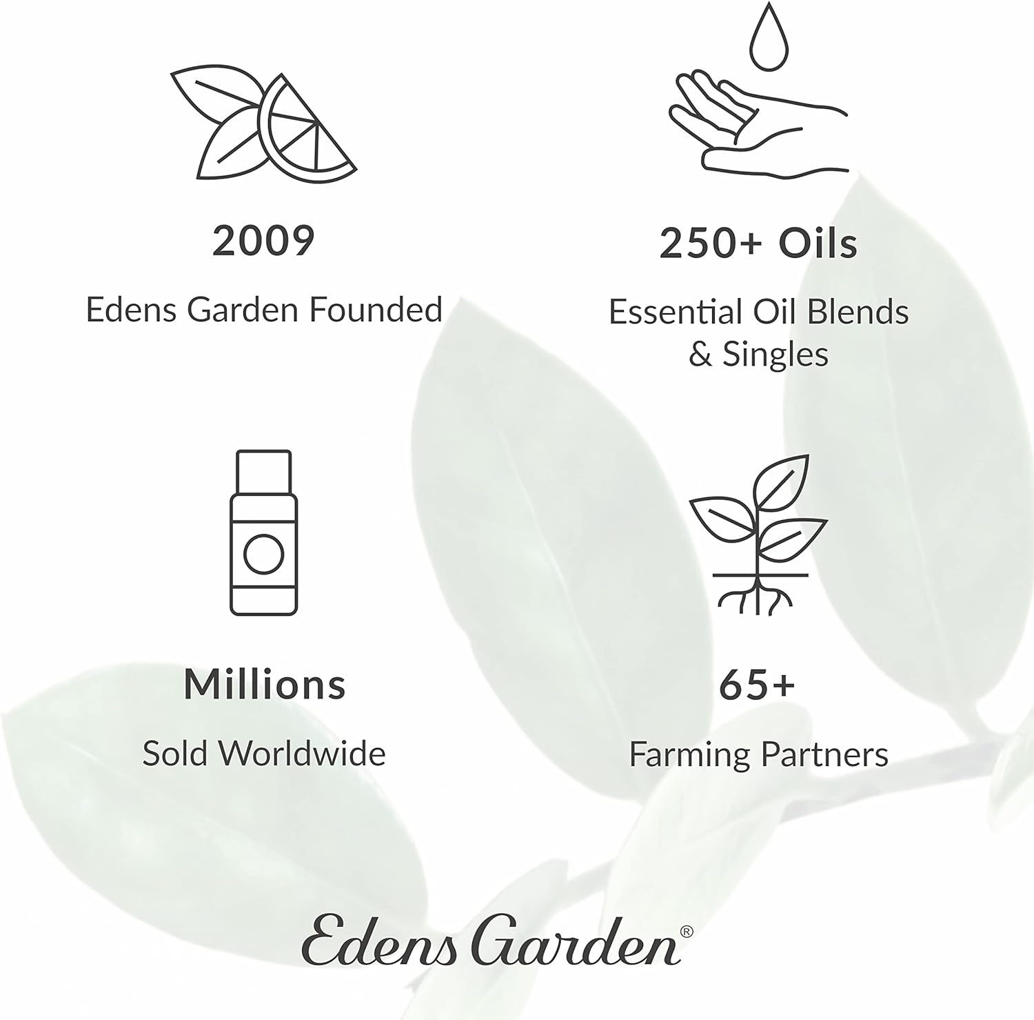 Edens Garden Pampered Skin Essential Oil Blend 100% Pure & Natural Premium Best Recipe Therapeutic Aromatherapy Blend 10 ml Roll-On - Image 2