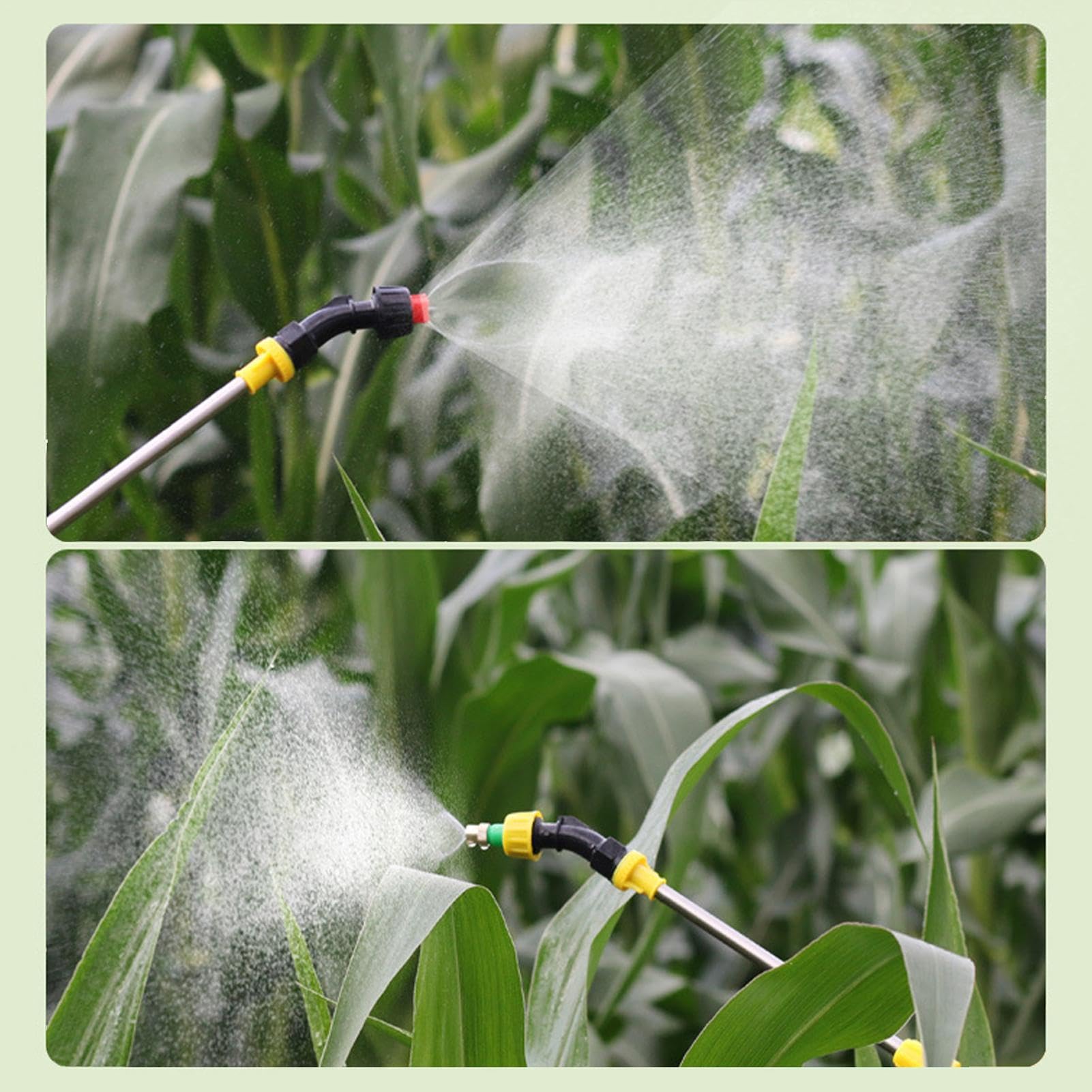 Spruzzatore da giardino - Spruzzatore a pressione a pompa da 5 litri