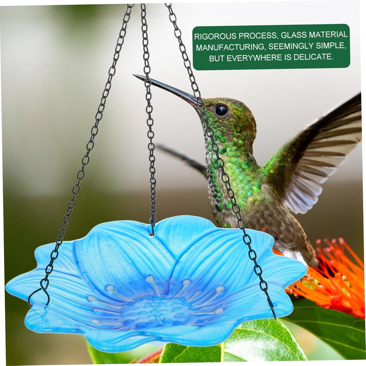 Generic Glass Bird Bath Feeding Decor Hanging Bird Bath Bowl Outdoor Feeder