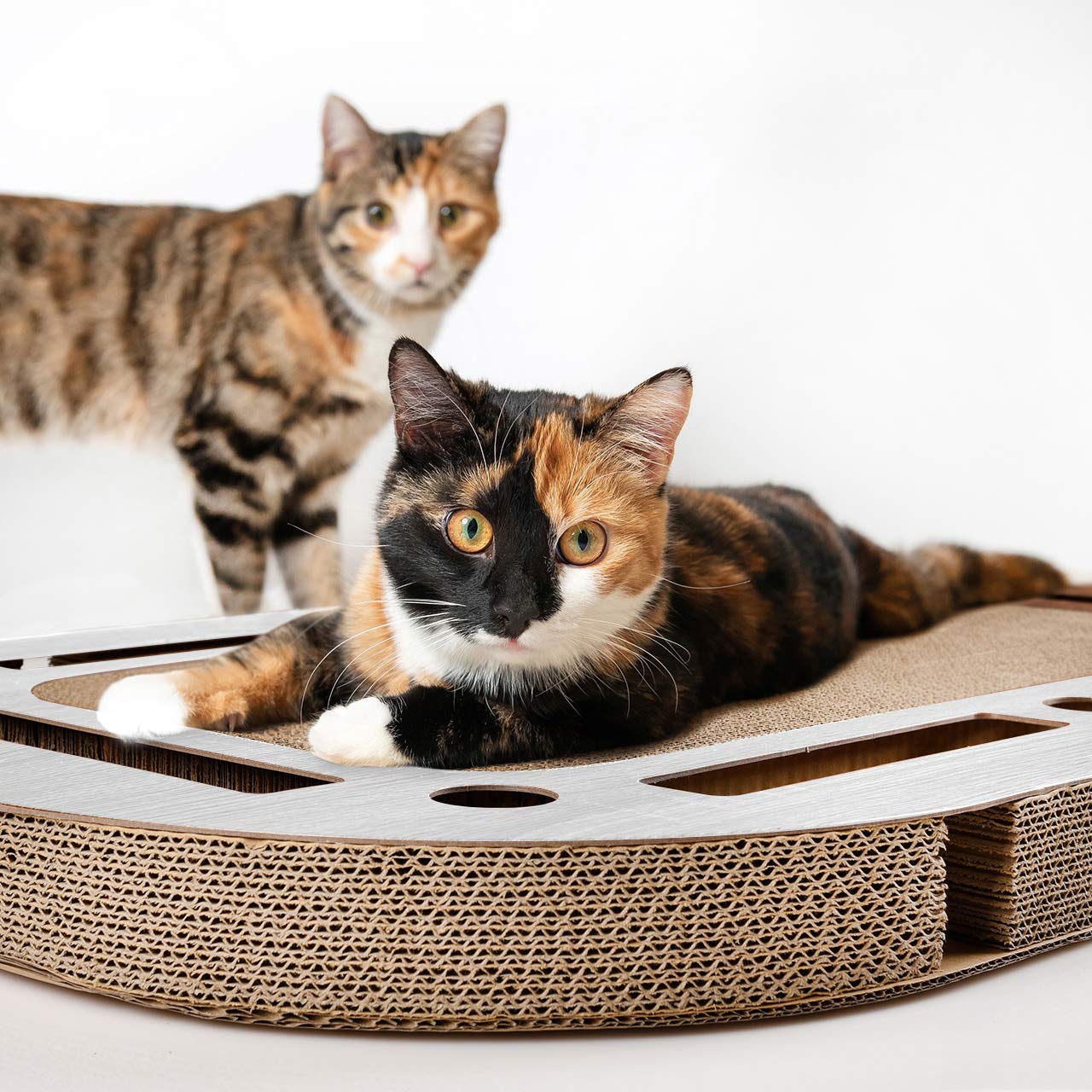 CanadianCat Company | XXL Katzenspielplatz 85 x 54 x 5,8 cm mit integrierter Kratzpappe Katzenspielzeug Kratzbrett in hellgrau gekalkter Holzoptik Kratzkarton