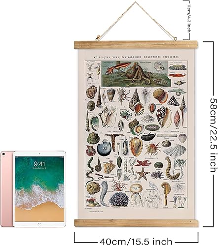 Miniatura 70 de XIAOAIKA Póster de botánica vintage con marco de madera, tabla de plantas venenosas antiguas, arte educativo botánico con especies peligrosas, 1