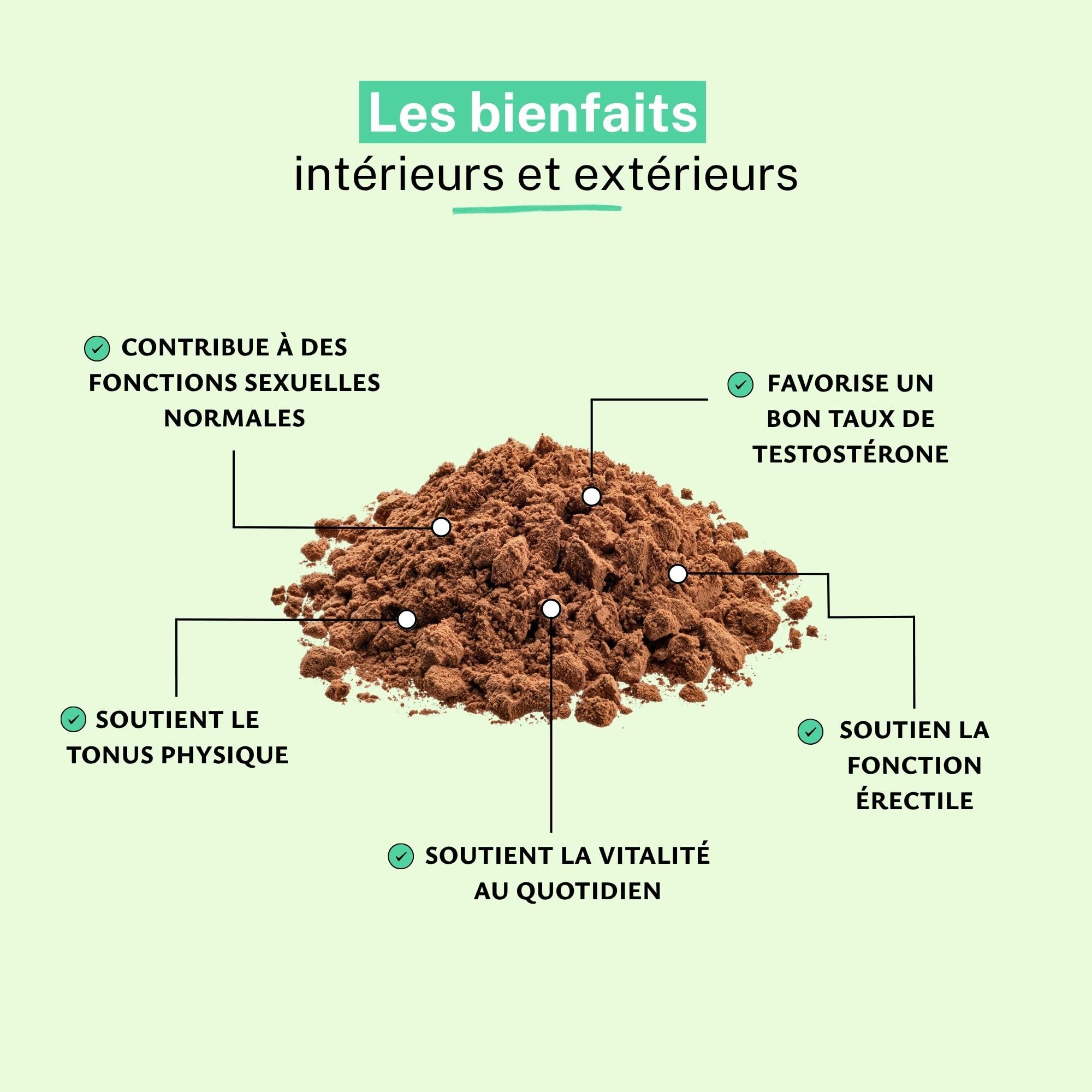 Rue Des Plantes - Tribulus Terrestris Poudre 500g | Complément Alimentaire pour Booster Énergie, Performance et Tonus Musculaire | Made in France