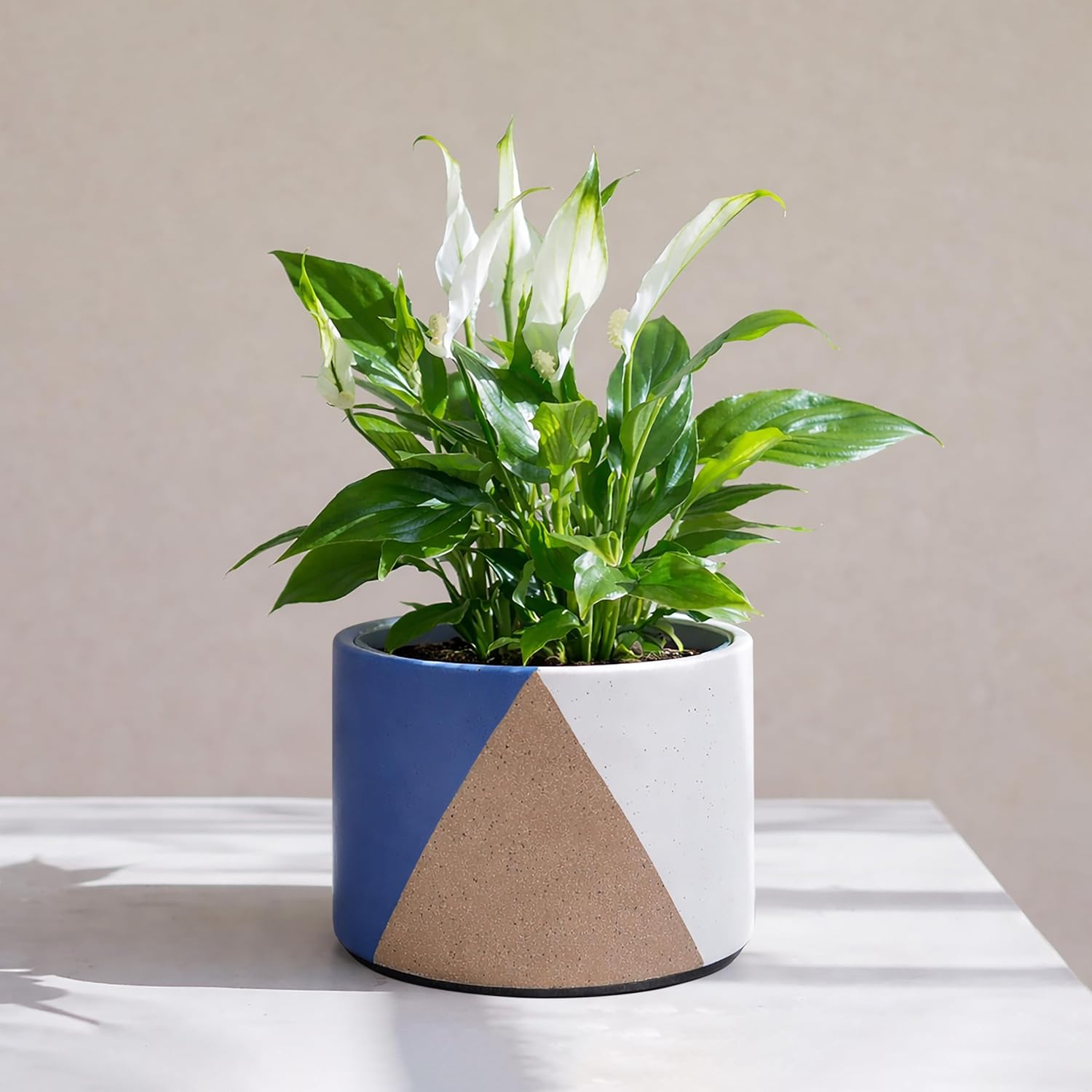 D'vine Dev 6.5" Stoneware Cachepot Planter with 6" Low Clear Nursery Pot & Detachable Saucer – Modern Indoor Plant Pot with Drainage for Bottom Watering & Root Visibility, Cobalt Canyon, 93-O-D-3