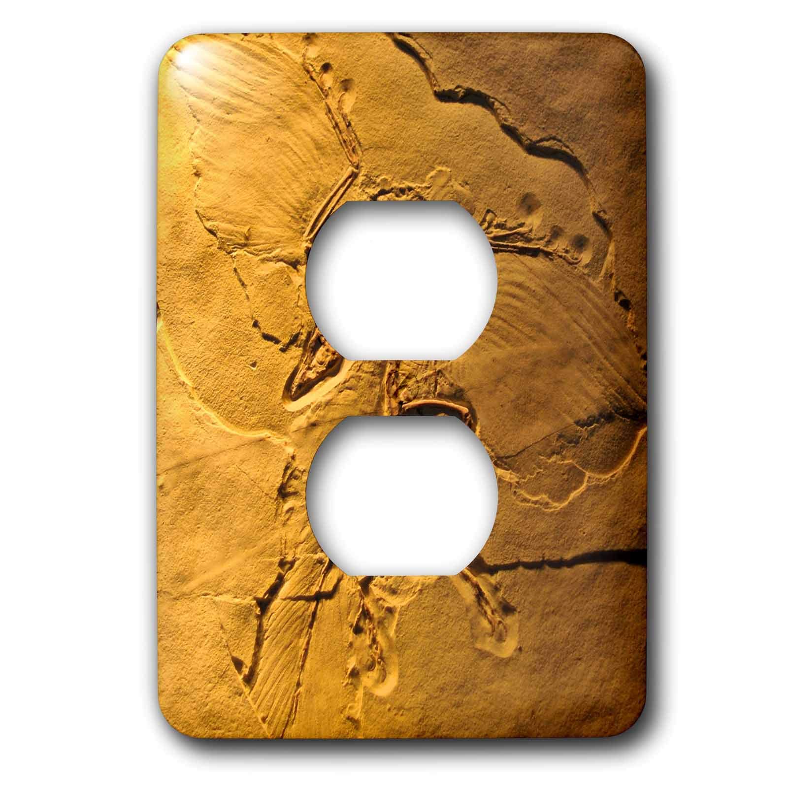 Couvercle de prise pour masquer les finitions de double prise motif Archaeopteryx