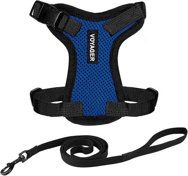 Voyager Step-in Lock Cat Harness and Reflective Cat Leash with Neoprene Handle by Best Pet Supplies - Supports Small, Medium and Large Breed Cats, Royal Blue/ Black Trim, size XXS - 5ft - 1