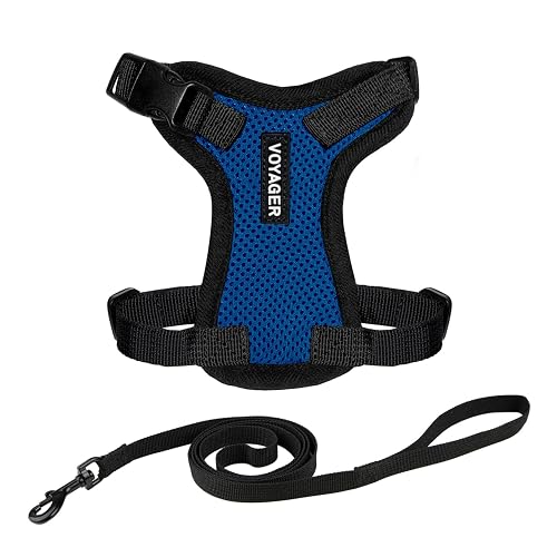 Best Pet Supplies Voyager Step-in Lock