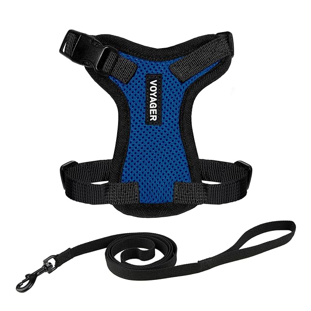Best Pet Supplies Voyager Step-in Lock