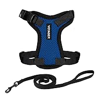Best Pet Supplies Voyager - Set combinato di guinzaglio regolabile per gatti con manico in neoprene