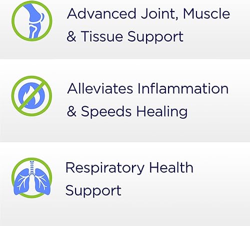 Miniatura 3 de Enzimas proteolíticas 3X - Tripsina, quimotripsina y serrapeptidasa - Reduce el edema y la inflamación de lesiones tisulares - Apoya el bienestar