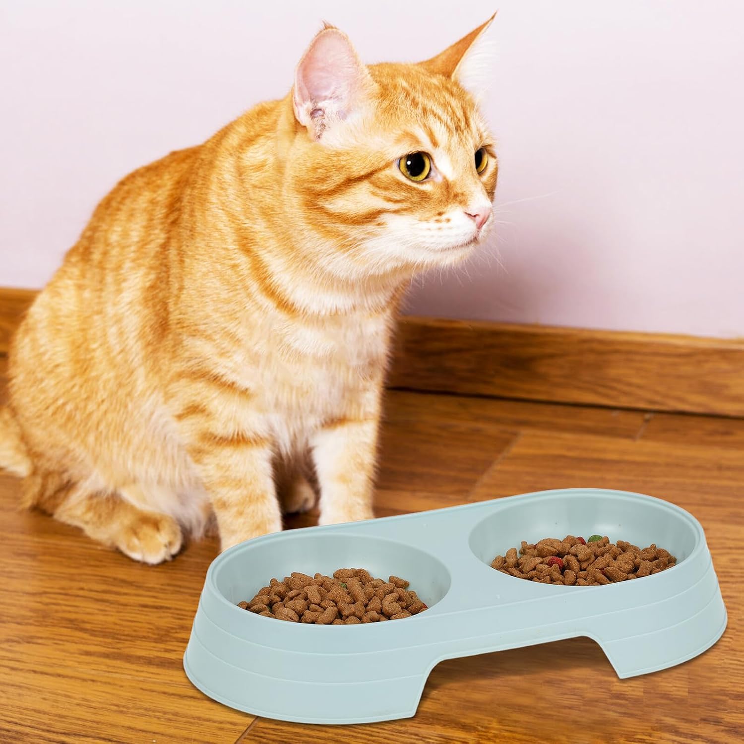 HEMOTON 8pcs Cat Feeding Bowl Set, Anti-Spill Plastic Pet Bowls with Non-Slip Base, Candy Color for Indoor Cats and Kittens