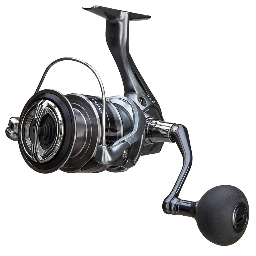 SHIMANO - ナスキー C5000XG NASCI C5000XG FC NASCI : Amazon.ca: Sports & Outdoors
