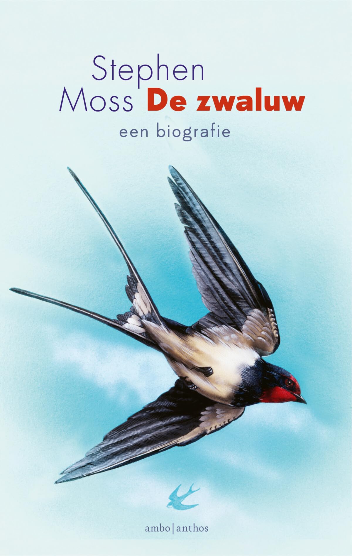 De zwaluw: een biografie