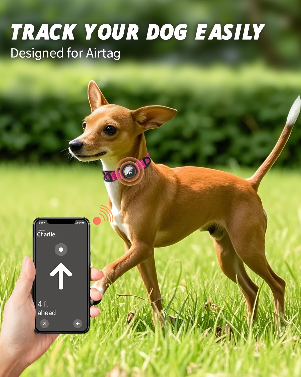 Condition photo showing New/Like New for joytale airtag dog collar, reflective pet collar with waterproof airtag holder, dual d-rings, soft padded adjustable for small dogs, hotpink, s
