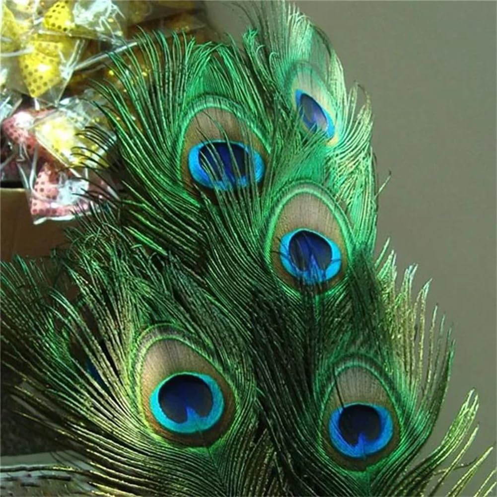 Naturalne pióra bażanta, Craft Pawie pióra wielokolorowe 25-30 cm, opakowanie 20 sztuk(Peacock Eyes)