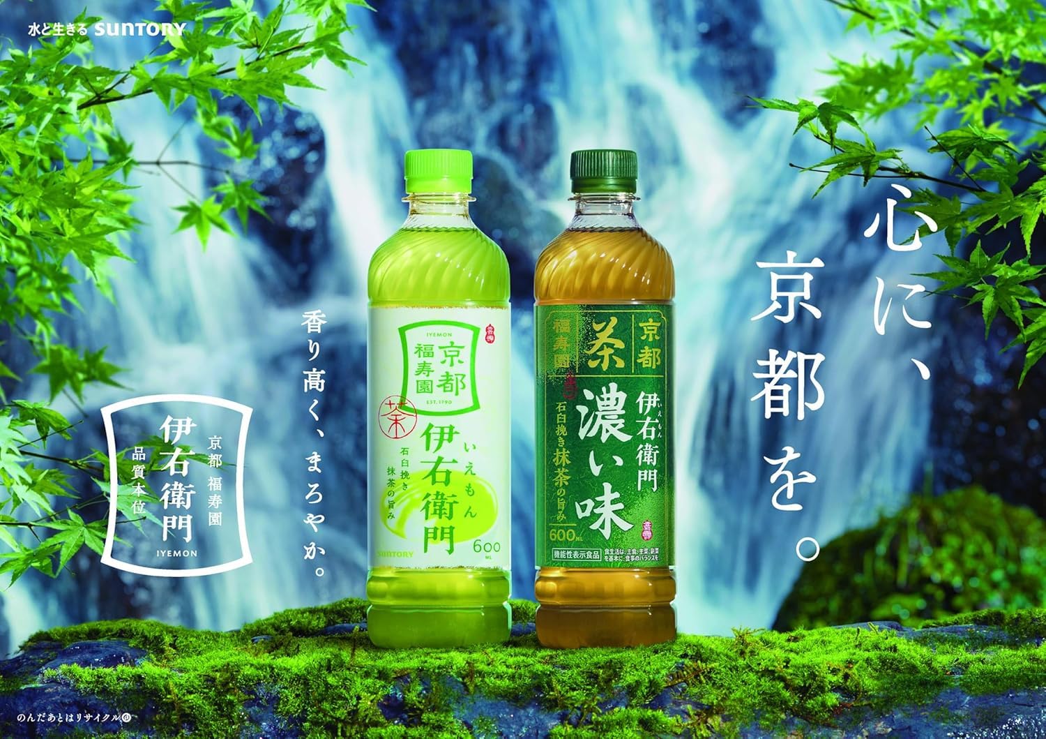 Amazon.co.jp: サントリー 伊右衛門 緑茶 435ml x24本 : 食品・飲料・お酒