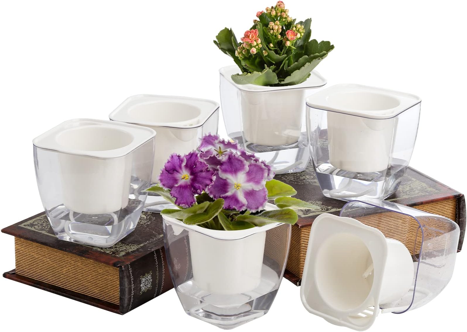 Lyellfe 6 Pack Plastic Self Watering Pots, 4 Inch Clear African Violet Pots for Indoor Plants, Automatic-Watering Planter with Drainage, Wick Rope, Windowsill Gardens, Herb, Orchid