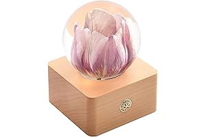 Forever Tulip: A Timeless Beauty Encased in Crystal