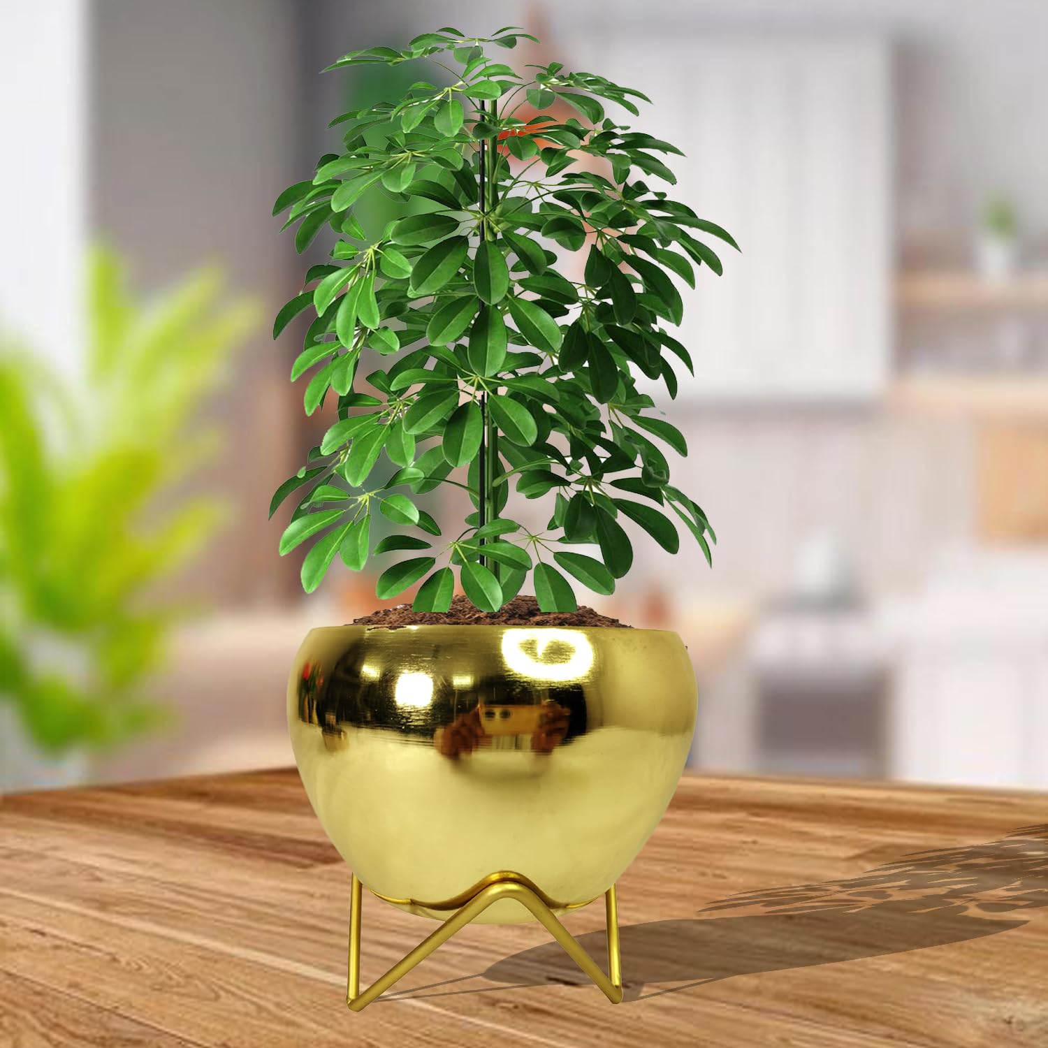 House Decore metal flower pot with stand indoor table top planter pot for dining table apple (gold small Madam Stand) (B0C5VKSTJH) Amazon Price History, Amazon Price Tracker