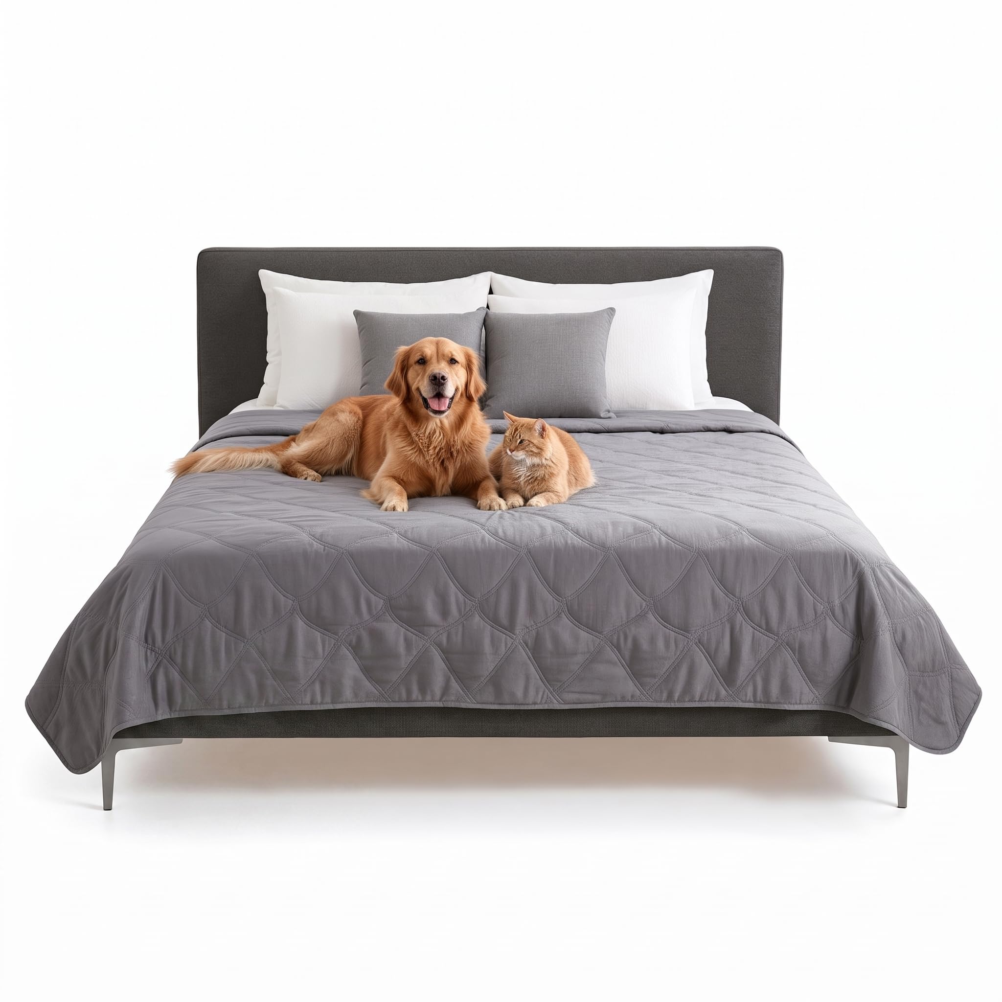 Waterproof Blanket & Furniture Protector Cover with Non-Slip Backing, Machine Washable, Jumbo/King, Quilted Twill, Gray