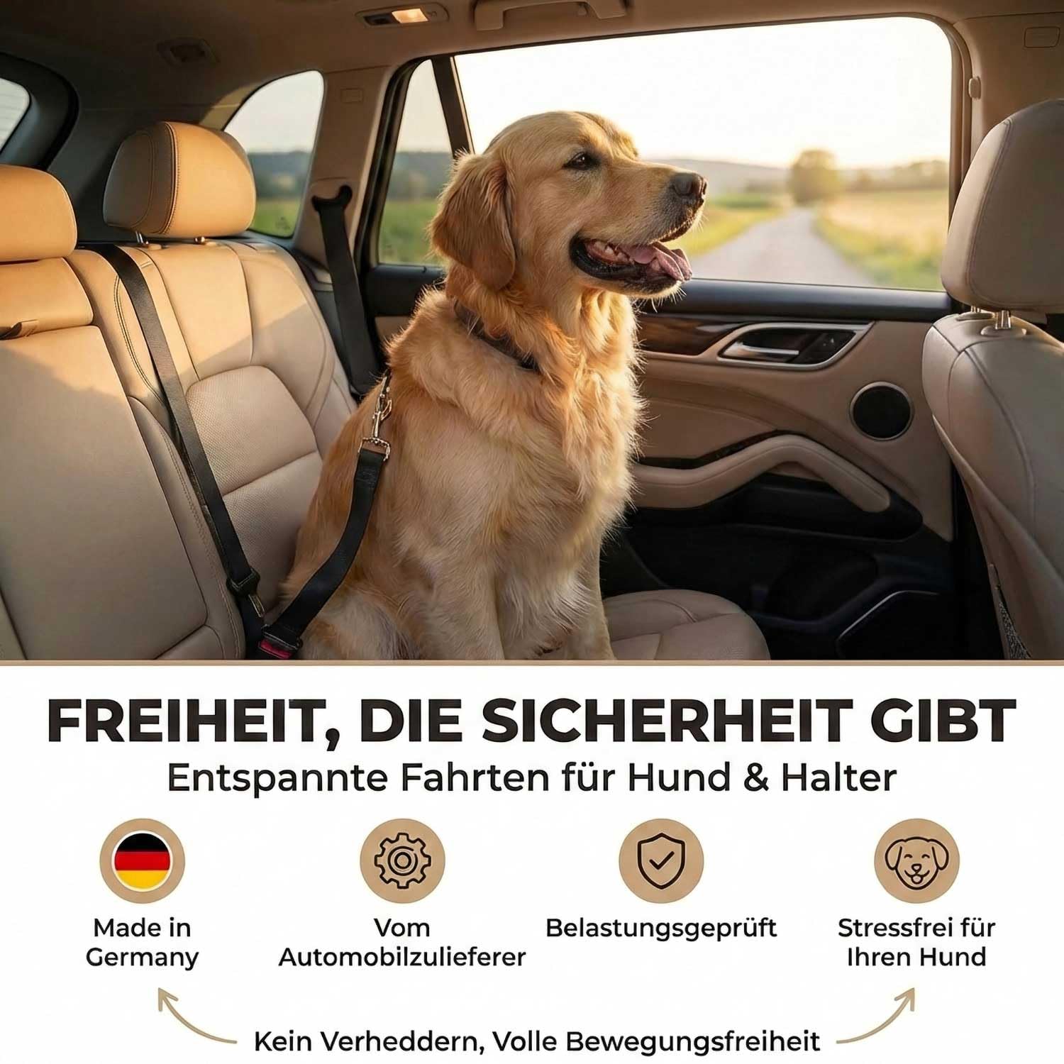 Automatik Sicherheitsgurt für Hunde im Auto - ausziehbar - aus Deutscher Produktion/Anschnallgurt Hund Auto für mittlere und große Hunde/Hundegurt mit drehbarem Edelstahl Karabiner