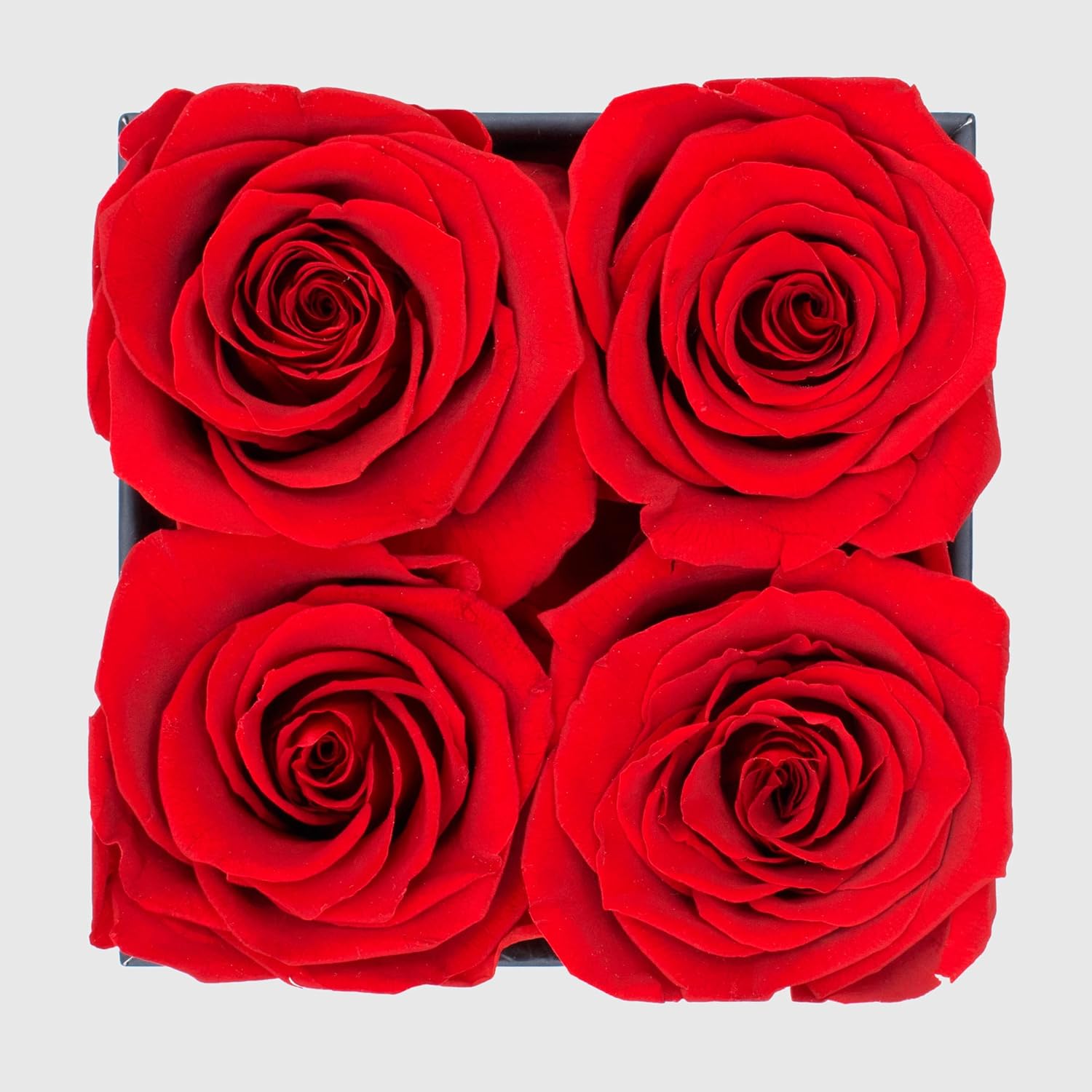 Graceful Fleurs Real Long Lasting Roses in a Box for Years, Preserved Fresh Forever Flowers for Delivery Birthday, Eternal Floral Valentines Gifts for Her (Red, Black Box, 4 Roses) - Image 2