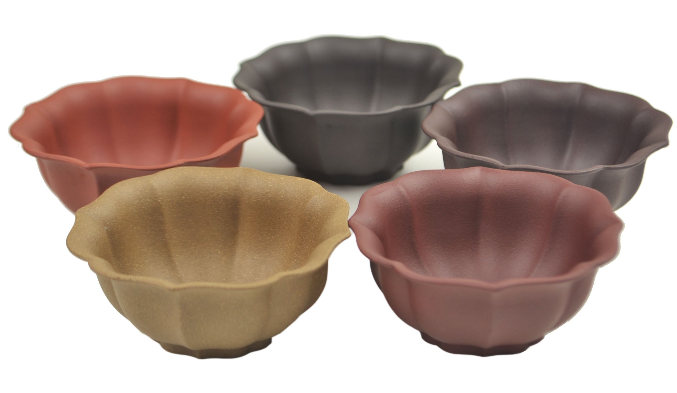 Tasses à thé chinoises Gong Fu tcb12 : set de 5 récipients en Zisha 50cc pour infusion