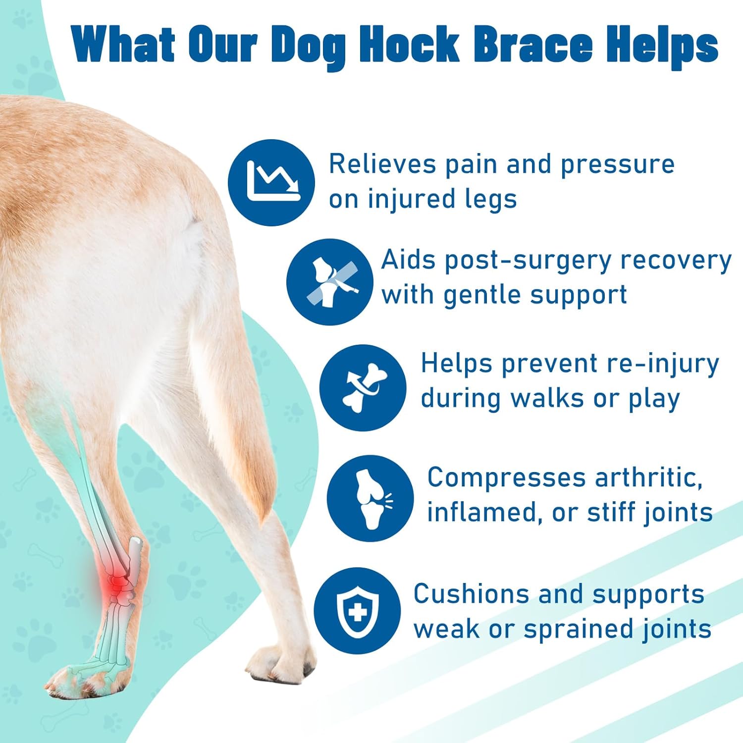 Dog Leg Braces for Back & Front Legs- Dog Hock & Ankle Joint Brace for Weak Back Legs with 2 Metal Strips, Reflective Trim for Sprain, Injury, Arthritis, Wound Recovery,Blue,2XL