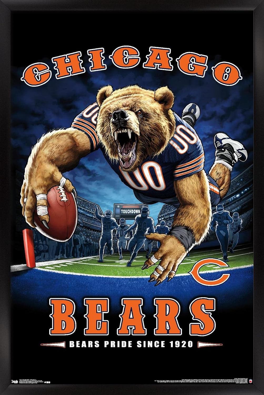 Trends International NFL Chicago Bears - End Zone 17 Wall Poster, 22.375" x 34", Black Framed Version