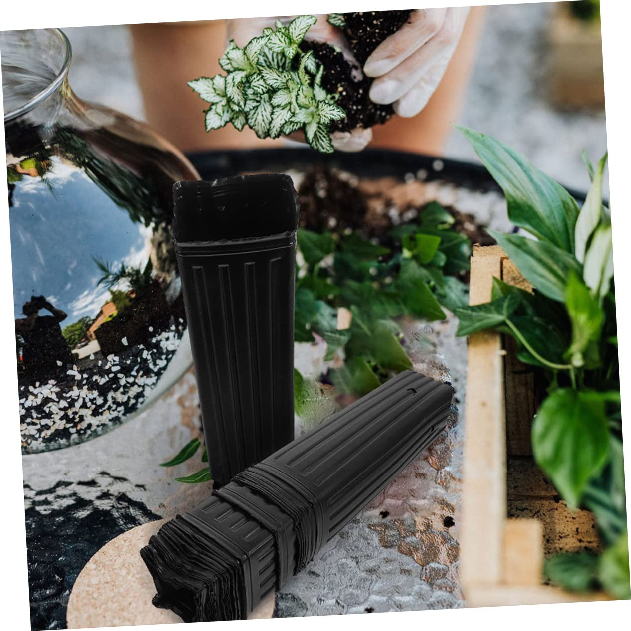 BESPORTBLE 60 Pots de Culture Noirs en Plastique PP pour Semis, Protection des Racines, Perméabilité à l'eau, pour Fruits et Jeunes Plants en Jardinage