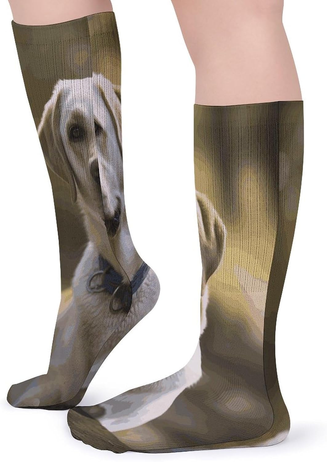 Labrador Knee High Socks Cozy Knee High Socks Soft Mid-Length Sock for All Seasons Daily Wear Adult