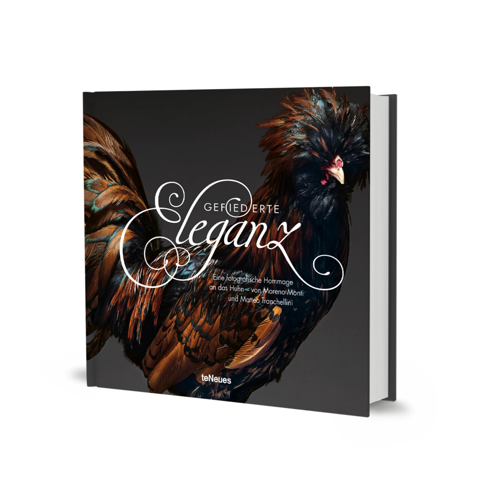 Gefiederte Eleganz: Eine fotografische Hommage an das Huhn