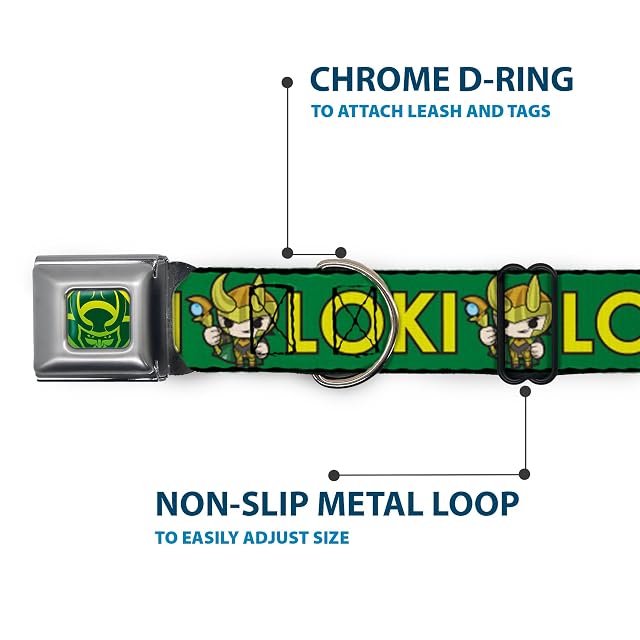 Foto 5 de 8 de Buckle-Down Collar de Perro con Hebilla para cinturón de Seguridad Kawaii Loki, Texto Verde y Amarillo