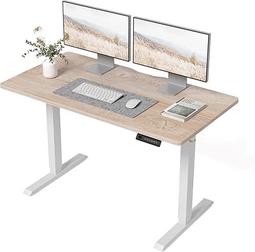 BANTI 48 × 24 Inches Standing Desk, Ergonomic, Electric Height