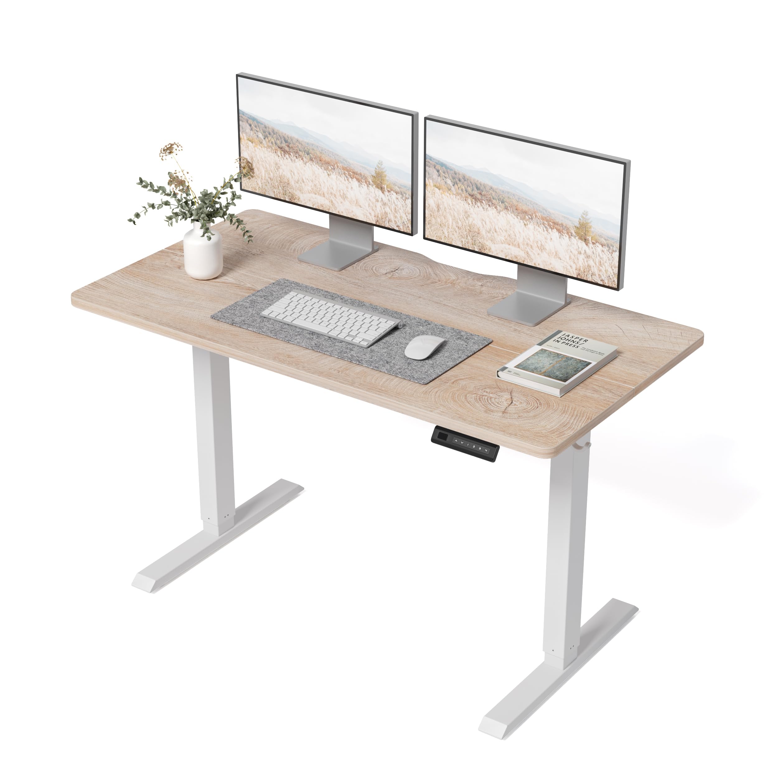 BANTI 48 24 Inches Standing Desk Ergonomic Electric Height Adjustable Sit and Stand Up Computer Office Desk with