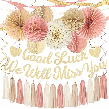 Boho Pink Farewell Party Decorations Women, Good Luck We Will Miss You Banner Crepe Paper Streamers Honeycomb Balls Tassel Garland For Going Away/Leaving/Retirement Party Decor, Coworker Goodbye Party