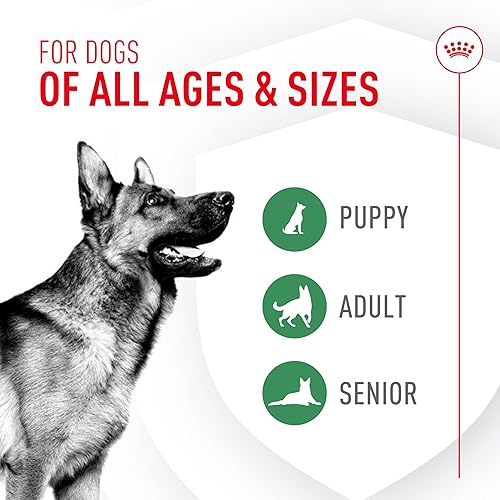 Miniatura 7 de Royal Canin Probióticos para perros Suplemento en polvo para la salud digestiva e inmunológica para perros de todas las edades, 30 unidades