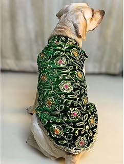 Lulala Festive Dog Sherwani in Green Velvet - Heavily Embroidered Ethnic Outfit for Dogs | Traditional Indian Pet Clothing for Weddings, Diwali and Parties for Dogs