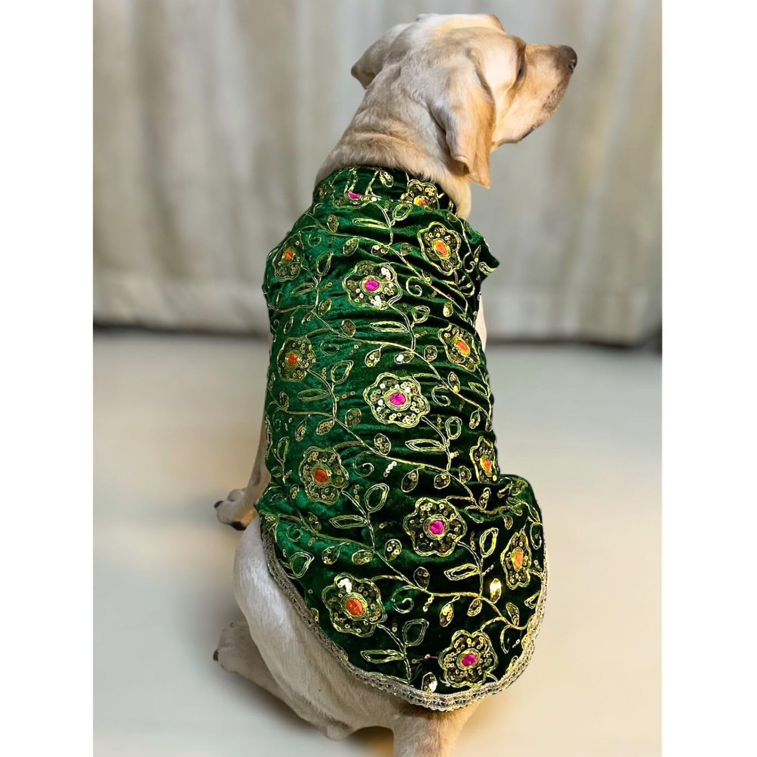 Lulala Festive Dog Sherwani in Green Velvet - Heavily Embroidered Ethnic  Outfit for Dogs